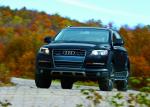 Audi Q7 3.6 Quattro 2006 года (NA)